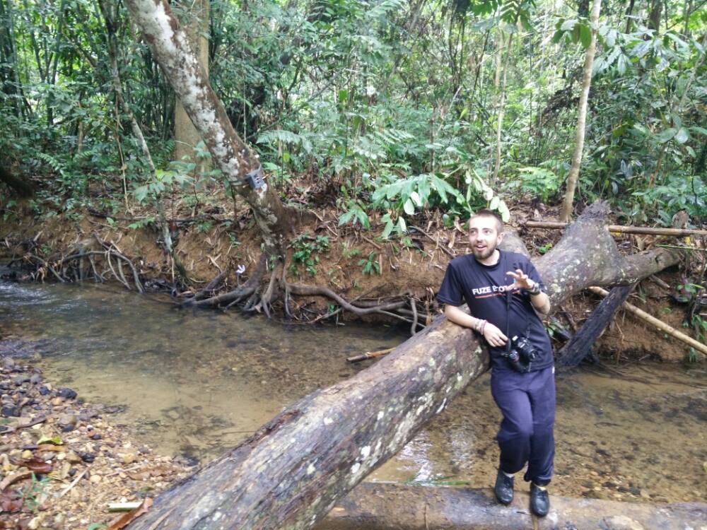 23379630_1732828163447887_2101251174_o